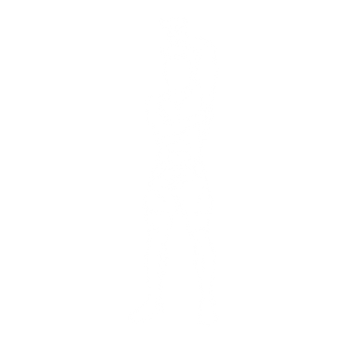 Single Arm Dumbbell Tricep Extension starting position