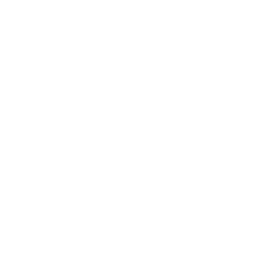 Split Squat starting position