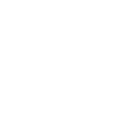 Standing Dumbbell Press starting position