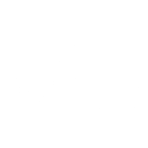 Sumo Deadlift starting position