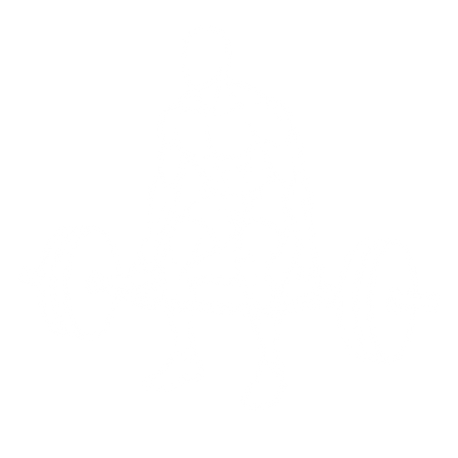 Trap Bar Deadlift starting position