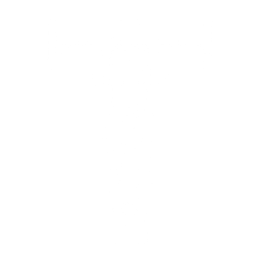 Weighted Chin-up starting position