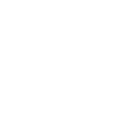 Weighted Push-up starting position