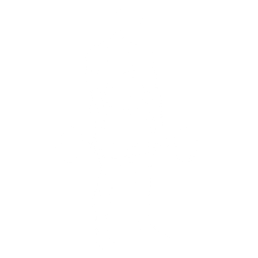 Wrist Curl starting position