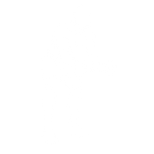 Wrist Extension starting position